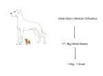 Lecture 1 Human Genetics