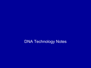 DNA technology notes