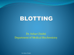 BLOTTING.142