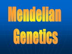 Gregor Mendel & DNA structure