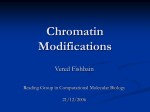 Chromatin Modifications