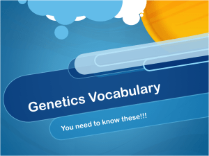 Genetics Vocabulary