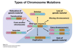Mammalian X Chromosome Inactivation