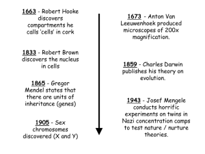 Timeline