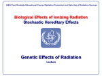Module III.4.1-Stochastic hereditary effects