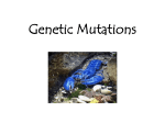 11a - Genetic Mutation Notes