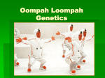 Oompah Loompah Genetics