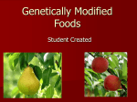 Genetically Modified Foods