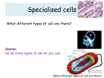 File - Rights4Bacteria