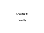 Chapter 5