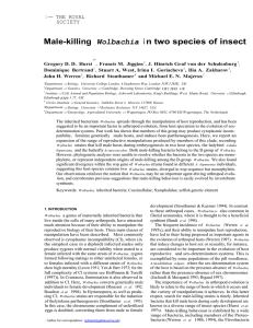 Male-killing i n two species of insect Wolbachia 1~ THE ROYAL