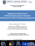 Mapping the Mechanome: Multiscale Approaches to Decipher Mechanisms of Stem Cell Mechanoadaptation