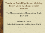 Tutorial on Partial Equilibrium Modeling: The Case of an