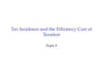 Tax Incidence and the Efficiency Cost of Taxation