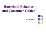 Household Behavior and Consumer Choice