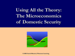 UT Microeconomics of Domestic Security