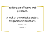 Building an effective web presence