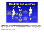 The principle of immunotherapy using dendritic