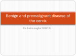 Benign and premalignant disease of the cervix