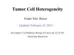 Tumor Cell Heterogeneity