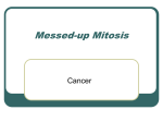 Messed-up Mitosis - University of Dayton