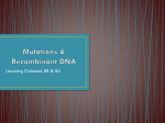 Mutations & Recombinant DNA