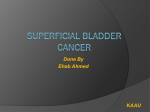 Superficial Bladder Cancer