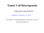 Tumor Cell Heterogeneity