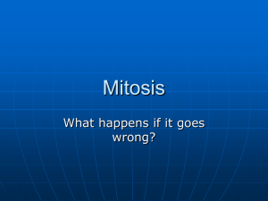 Mitosis