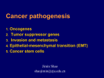 2. Tumor suppressor genes TSGs