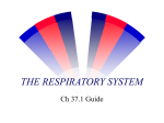 THE RESPIRATORY SYSTEM