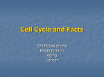 Cell Cycle and Facts