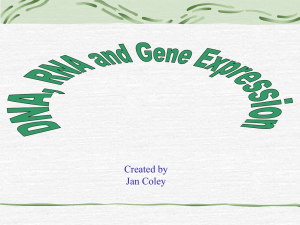 Gene Expression Jeopardy