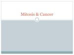 Mitosis & Cancer