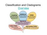 Biological Classification