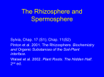 The Rhizosphere and Spermosphere