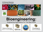 WebsiteEngineering-is-Everywhere-STEM