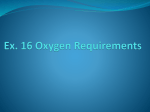 Ex. 16 Oxygen Requirements