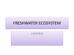 FRESHWATER ECOSYSTEM PPT