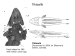 Tiktaalik