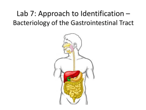 Lecture 2 – Week 7 Control of Microbial Growth