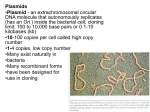 DNA plasmids/cloning