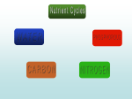 Nutrient Cycles