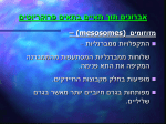 מצגת 4 - אברוני התא