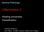 13 Inflamm 2 - Univerzita Karlova v Praze