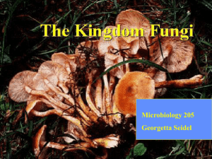 FUNGI - Pima Community College : Home