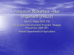 Health Care for Koi - University of Hawaii