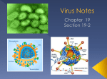 Virus Notes - Lake Stevens School District