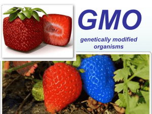 OGM - unisalento.it