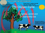 The Oxygen Cycle - EDHSGreenSea.net